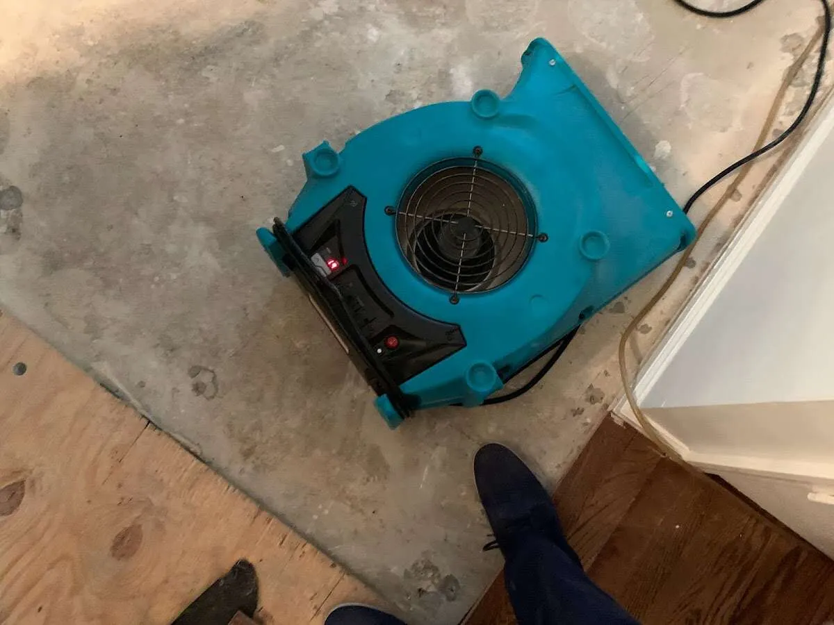 Air mover drying subfloor during Leak Detection & Repair in Deer Park